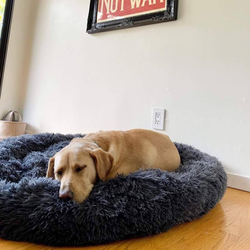Comfy Supportive Dog Donut Bed