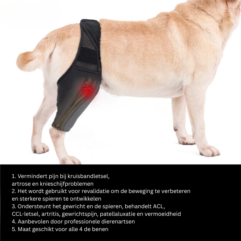 Comfortable Dog Knee Support Brace for Arthritis Relief - Halri
