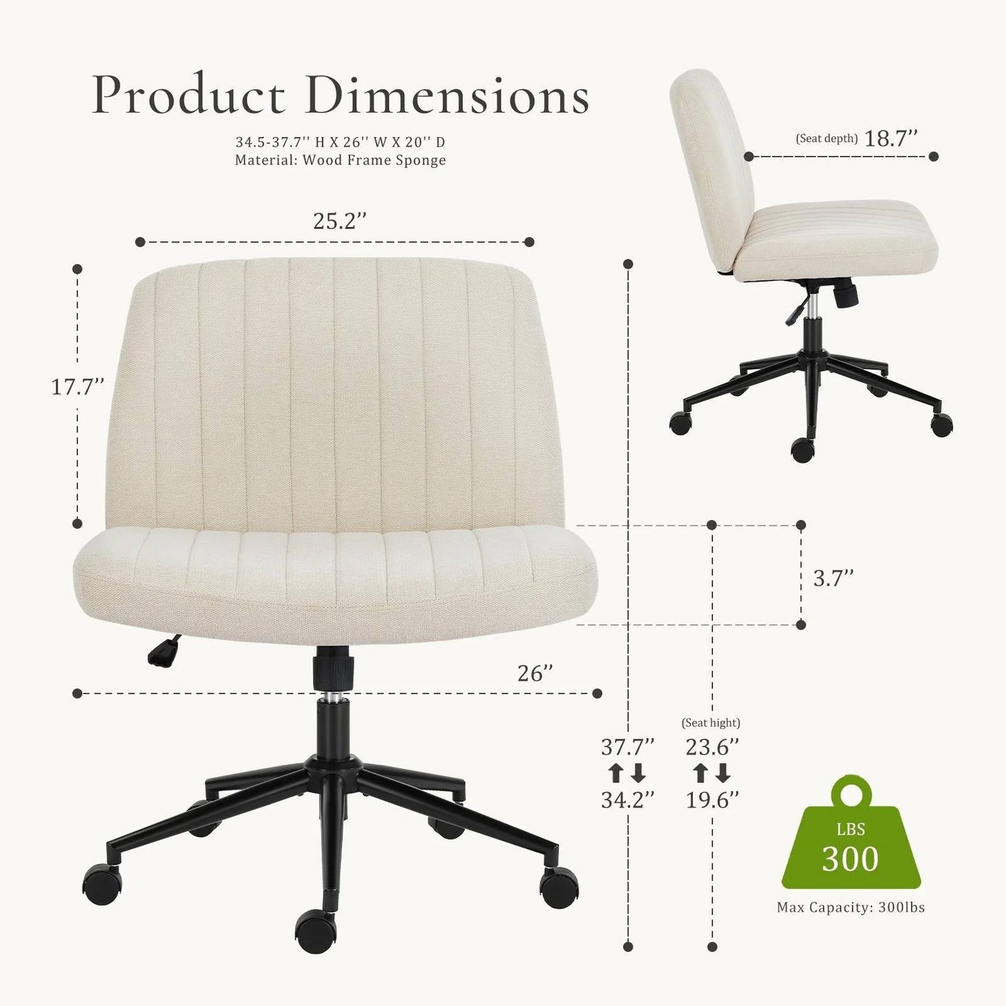 Ergonomic Task Desk Chair