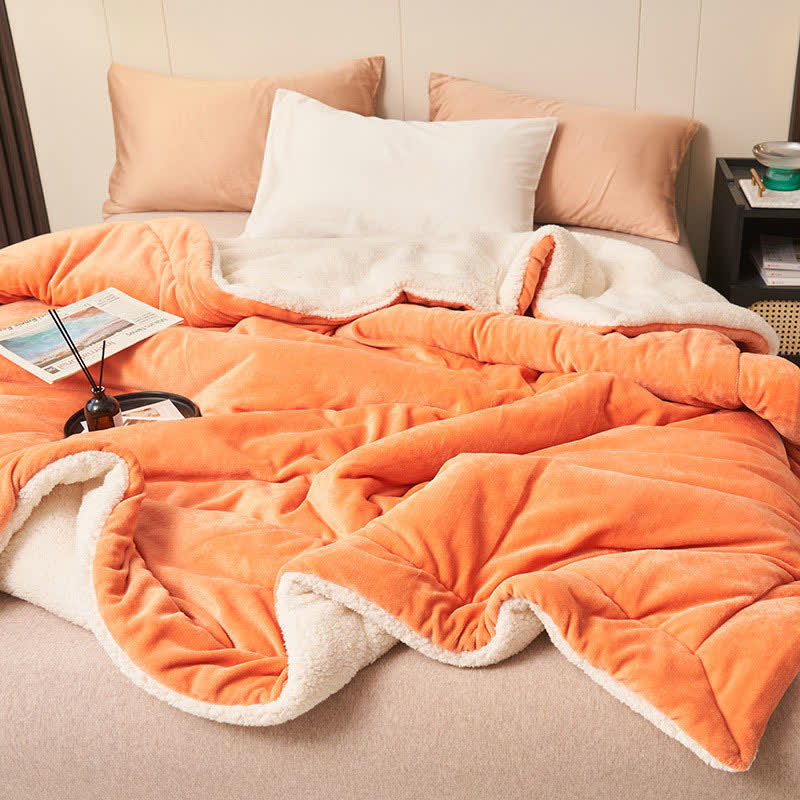 Plush Reversible Shaggy Area Rug