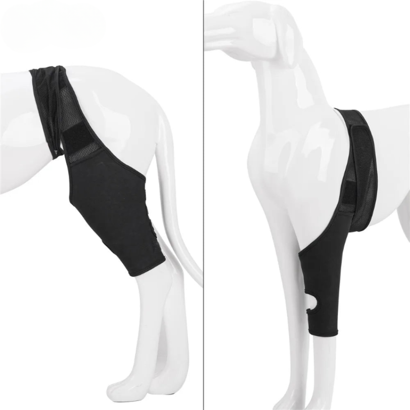 Comfortable Dog Knee Support Brace for Arthritis Relief