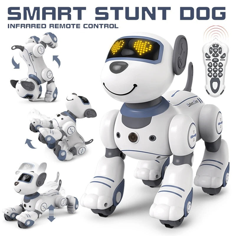 Fun Interactive Pet Toy