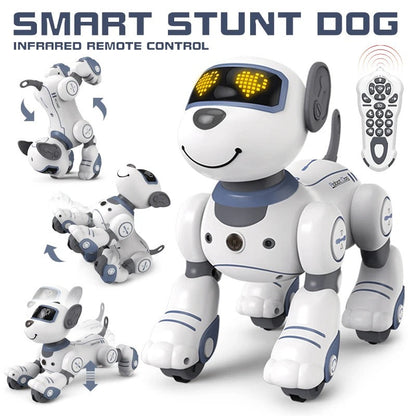 Fun Interactive Pet Toy