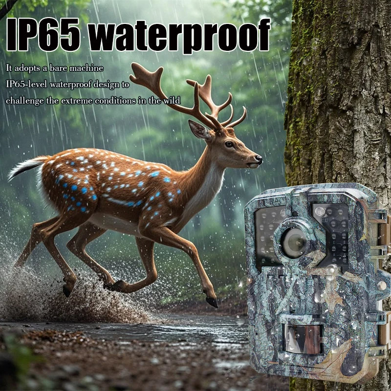 Compact 16MP Infrared Wildlife Trail Camera with Motion Sensor