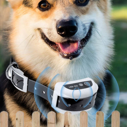 Easy Hidden Pet Electric Fence System Kit