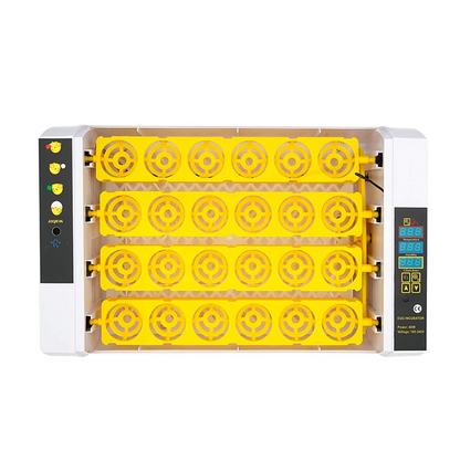 Big Automatic 24 Egg Incubator for Chickens and Quail