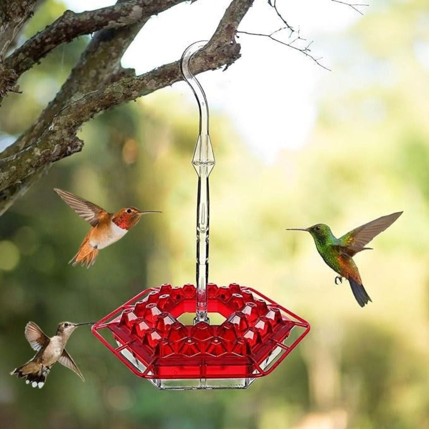 Easy Fill Outdoor Hanging Bird Feeder with Ant Trap - Halri