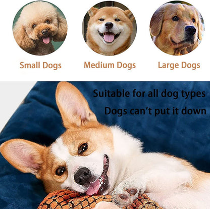 Tough Durable Dinosaur Toy