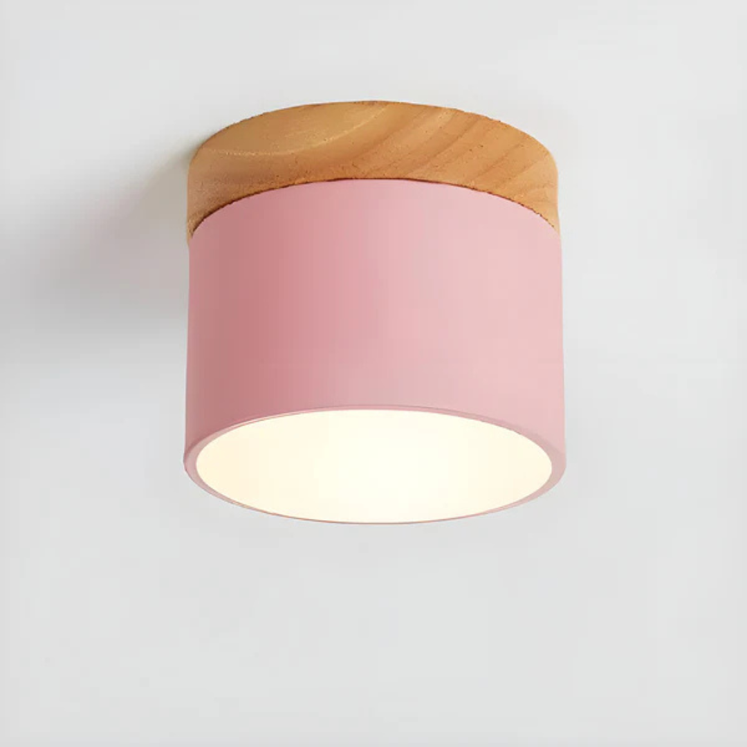 Classic Retro LED Ceiling Light