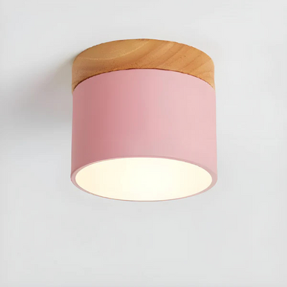 Classic Retro LED Ceiling Light