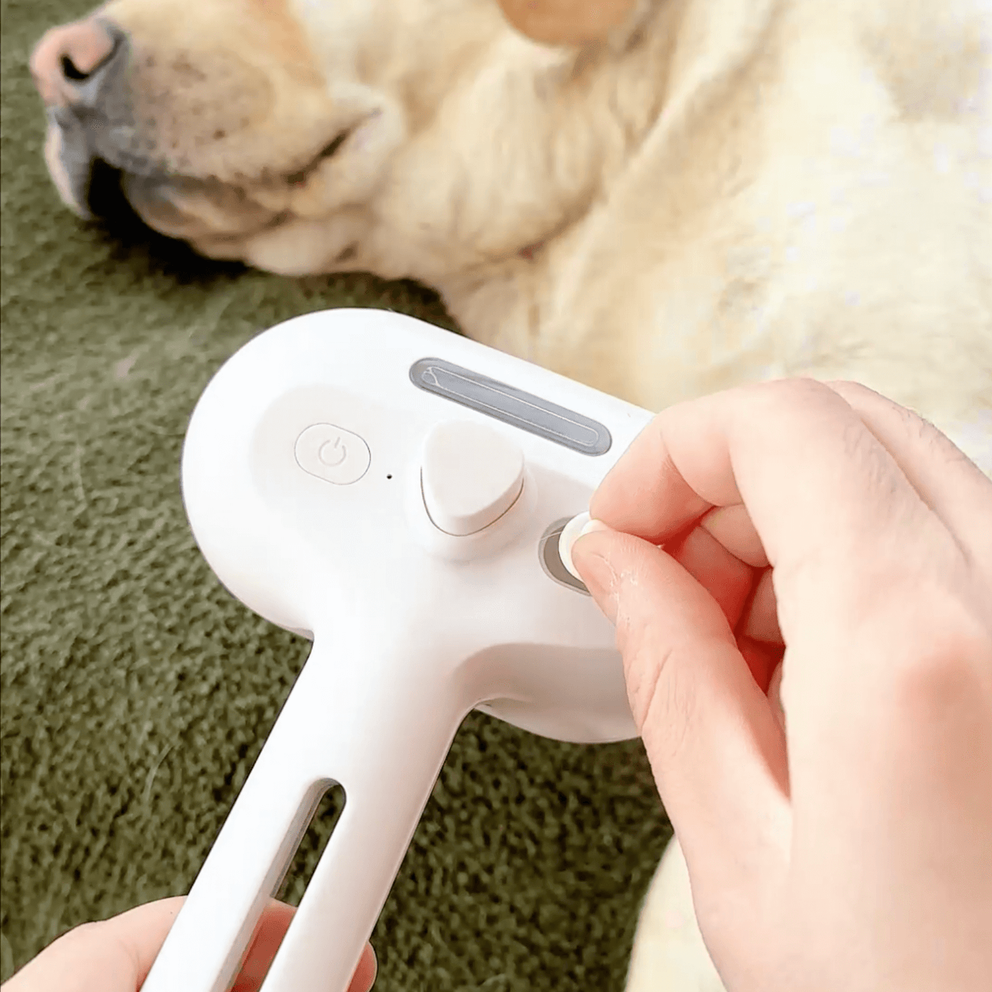 Pet Steam Brush - Gentle Dog Coat Care - Halri