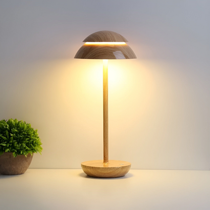 Portable Bright Desk Lamp