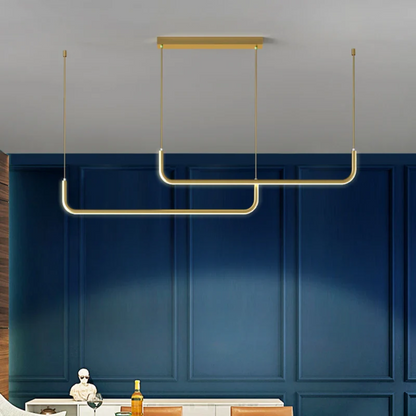 Elegant Designer Hanging Light