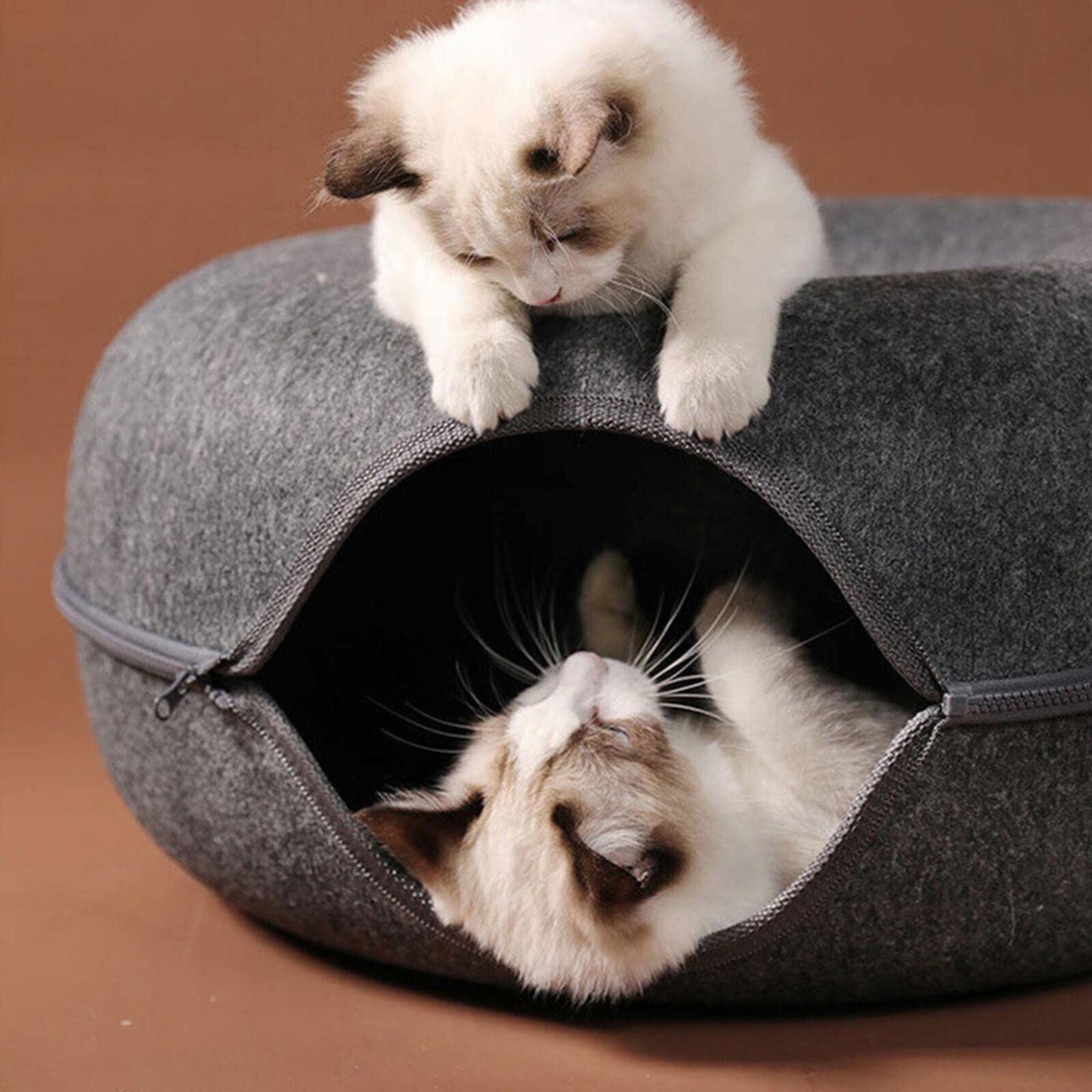 Fun Hidden Cat House