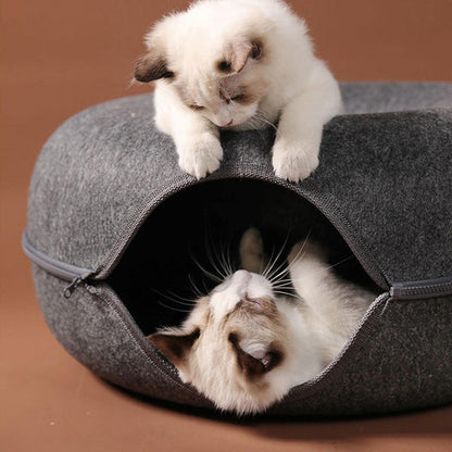 Fun Hidden Cat House