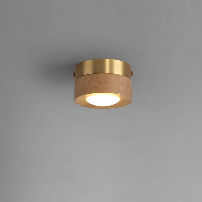 Brown Wooden Ceiling Lamp with LED Lights - Halri