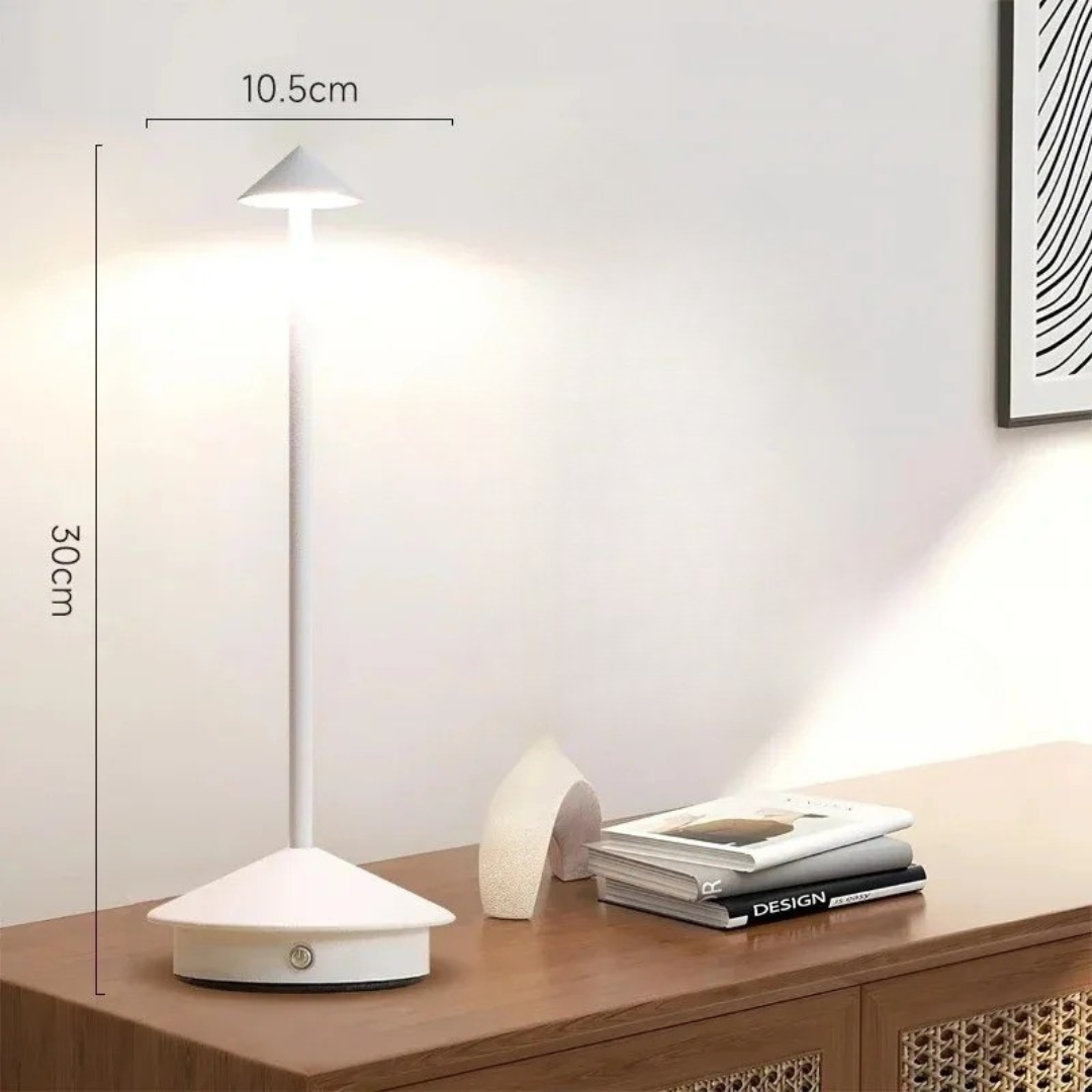 Portable Adjustable LED Desk Light