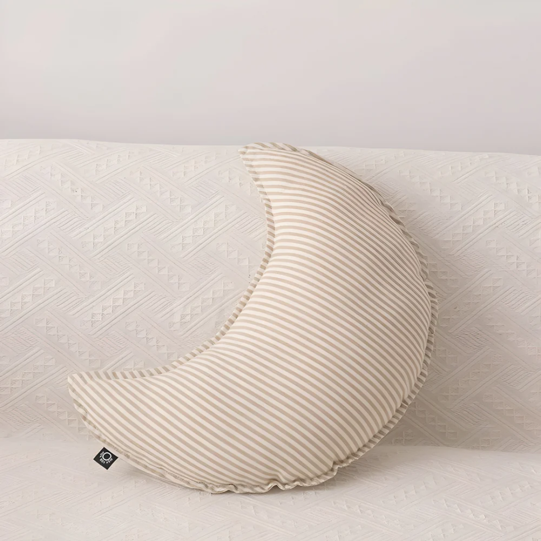 Plush Home Accent Pillow - Halri