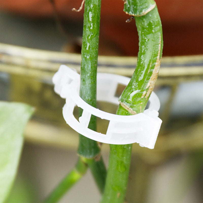 Easy Plant Holder Clip