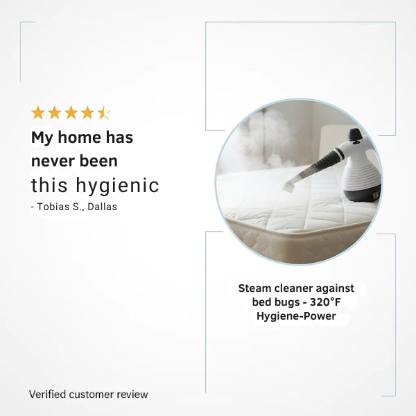 Powerful Hot Vapor Cleaner for Bed Bugs and Sanitizing