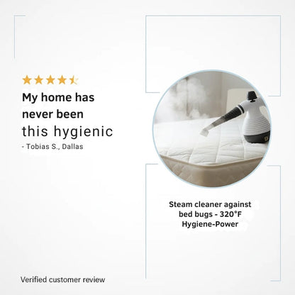 Powerful Hot Vapor Cleaner for Bed Bugs and Sanitizing