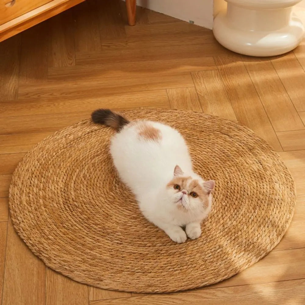 KrazeLuxe Cat Scratching Post Matte