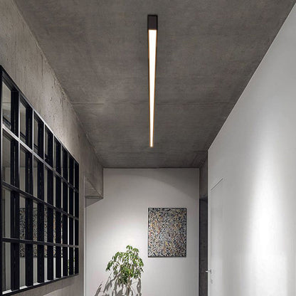 Slim LED Ceiling Light Modern Living Room Fixture