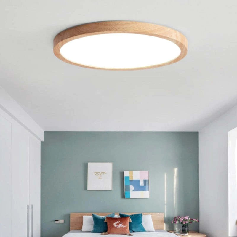 Simple Adjustable Bright LED Ceiling Lamp for Home