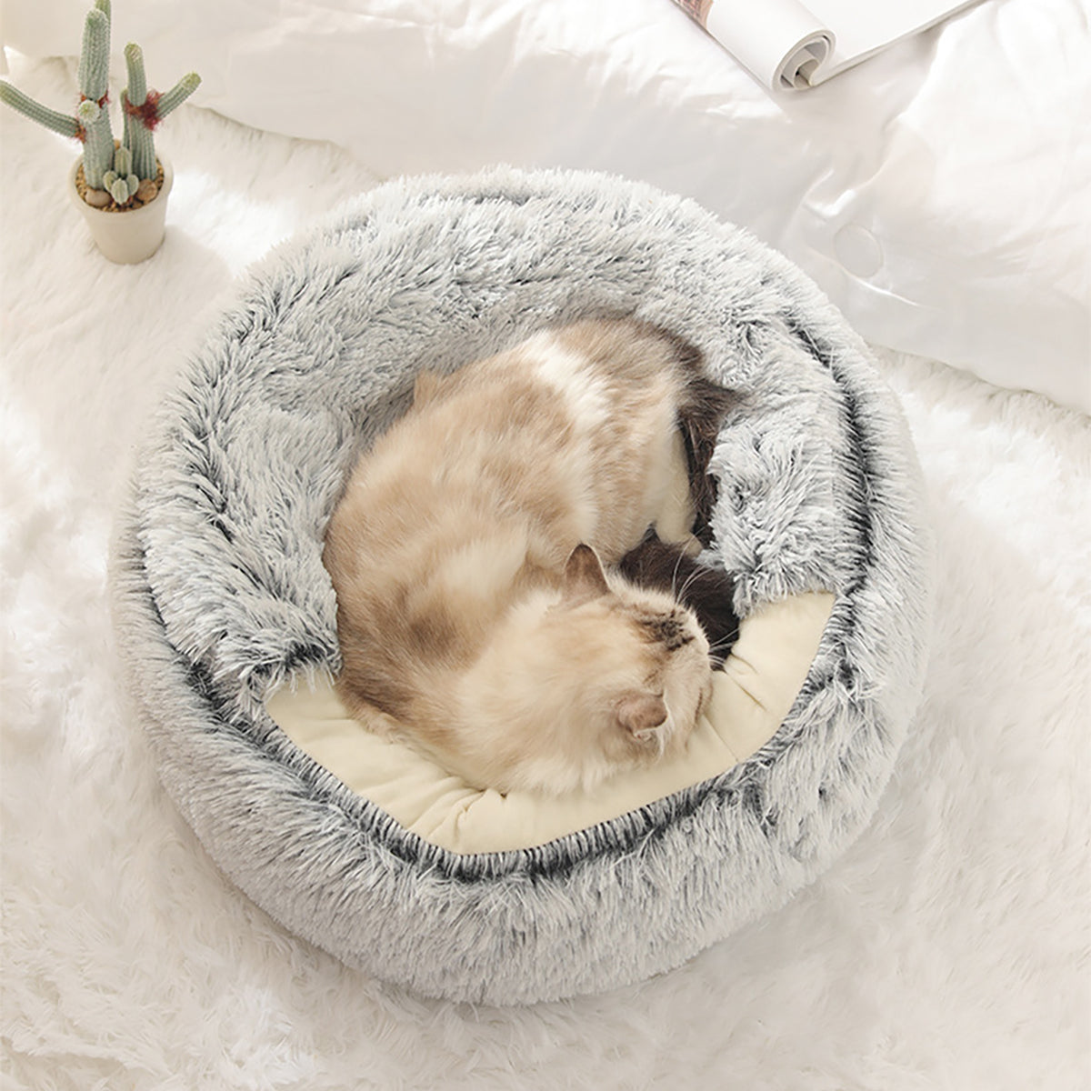 Cozy Pet Bed for Calm Sleep - Halri