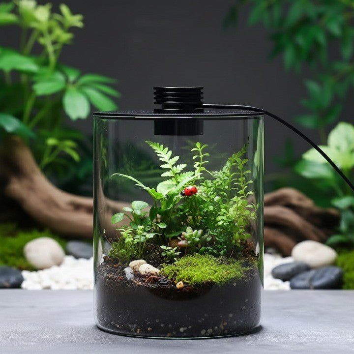 Small Glass Indoor Garden Terrarium Vase