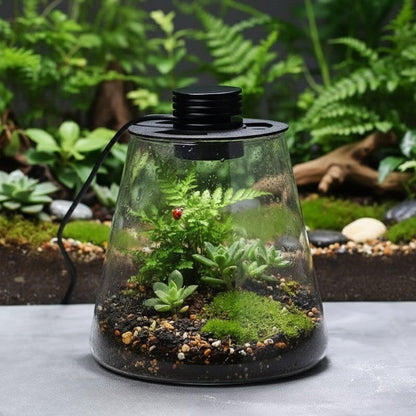 Small Glass Indoor Garden Terrarium Vase