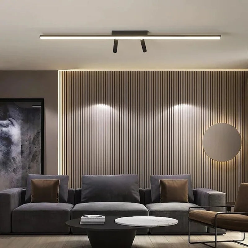 Contemporary Adjustable Ceiling LED Light Fixture