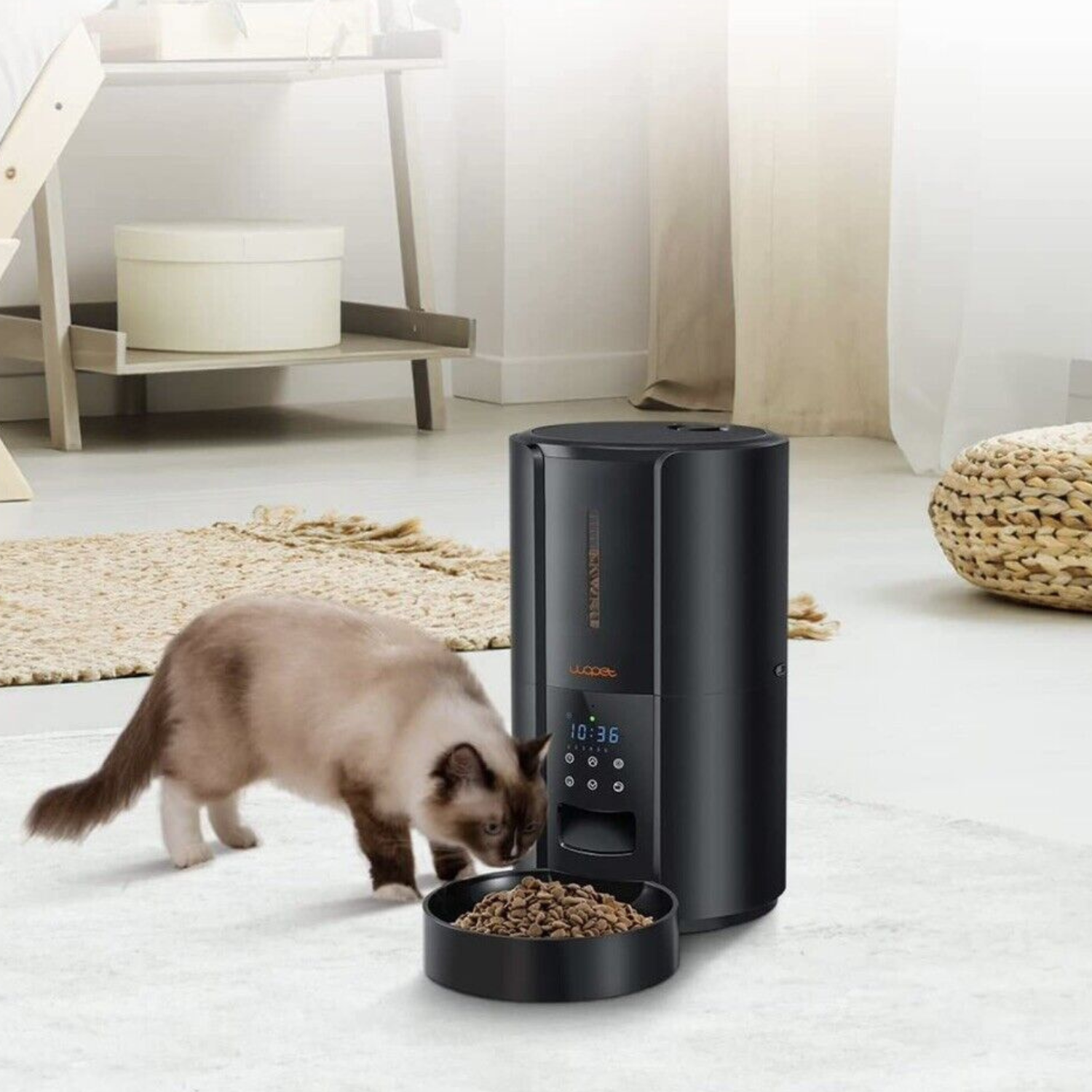 Automatic Pet Food Dispenser for Cats and Dogs - Halri