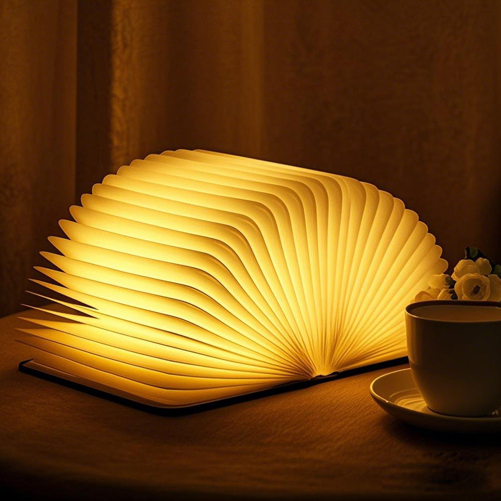 Portable Compact Reading Desk Lamp - Halri
