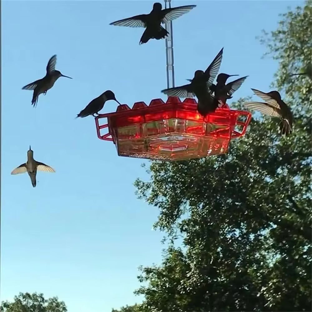 Easy Clean Hummingbird Feeder with 30 Feeders