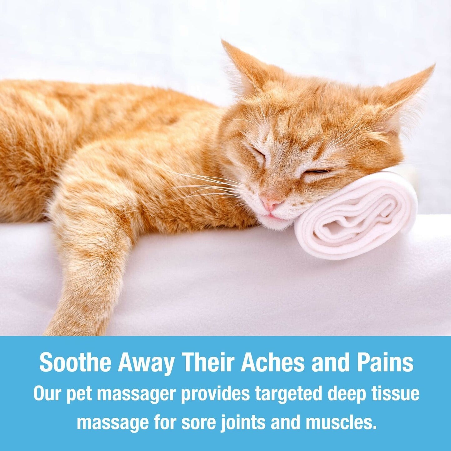 Relaxing Pet Grooming Tool