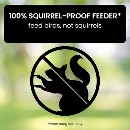 Squirrel Proof Bird Feeder with Spin Tray
