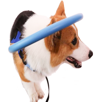 Comfortable Assist Harness for Blind Dog Support - Halri
