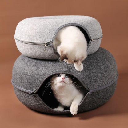 Fun Hidden Cat House