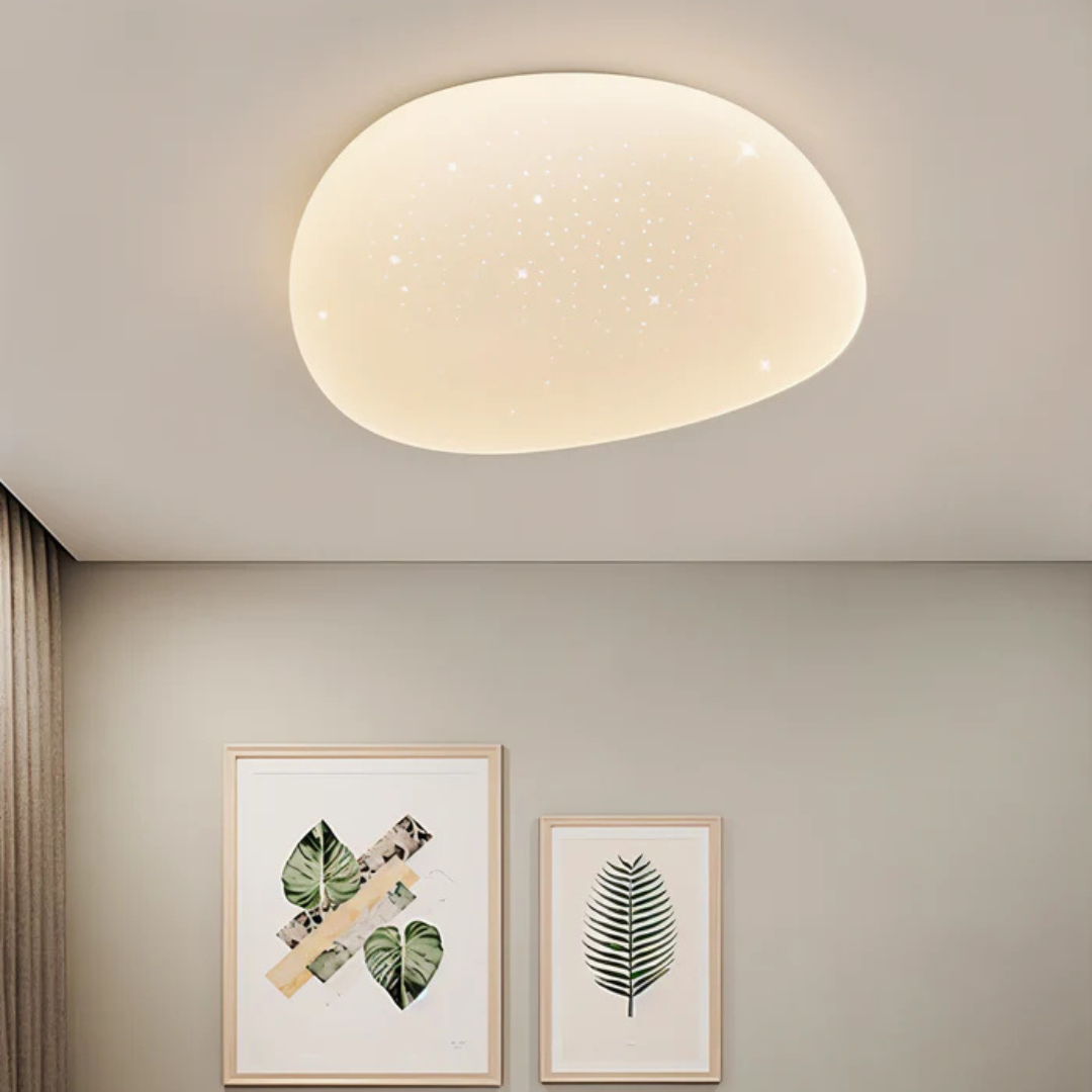 Modern Bright Overhead Light - Halri