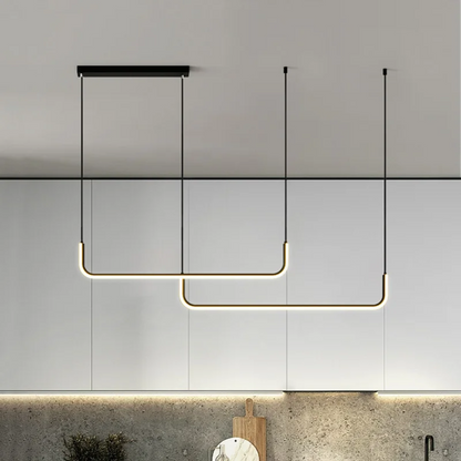 Elegant Designer Hanging Light