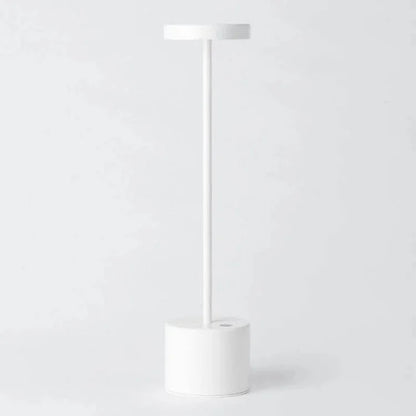 Portable Rechargeable Desk Light