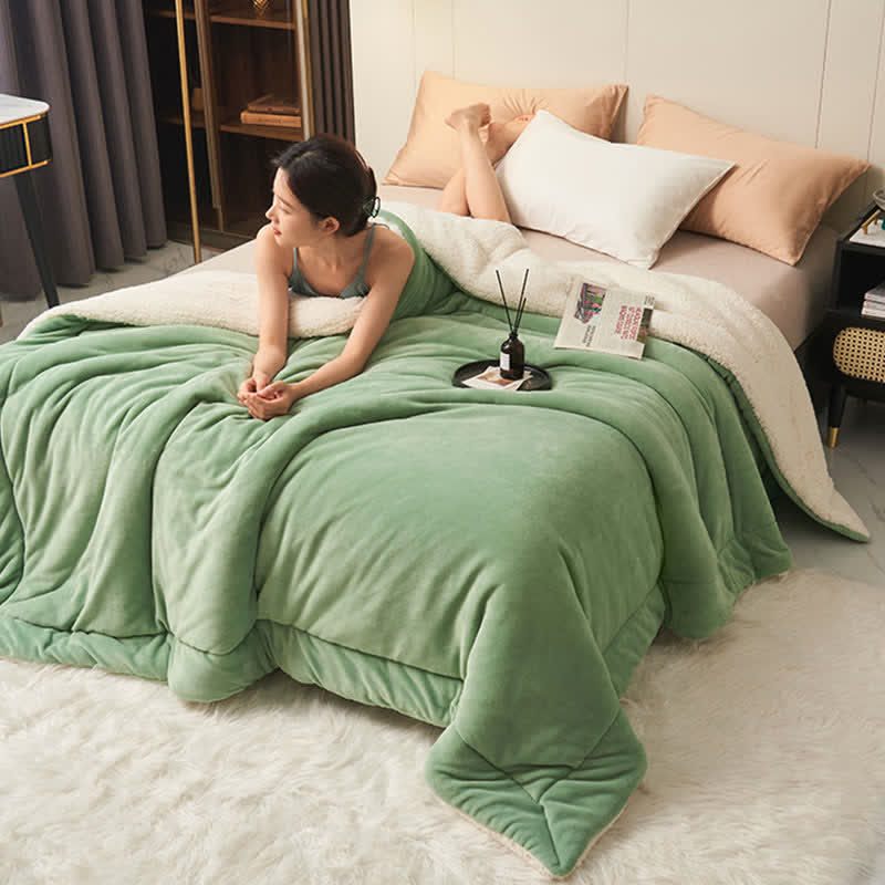 Plush Reversible Shaggy Area Rug