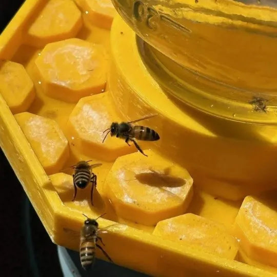 Natural Bee Hive Protector Box - Halri