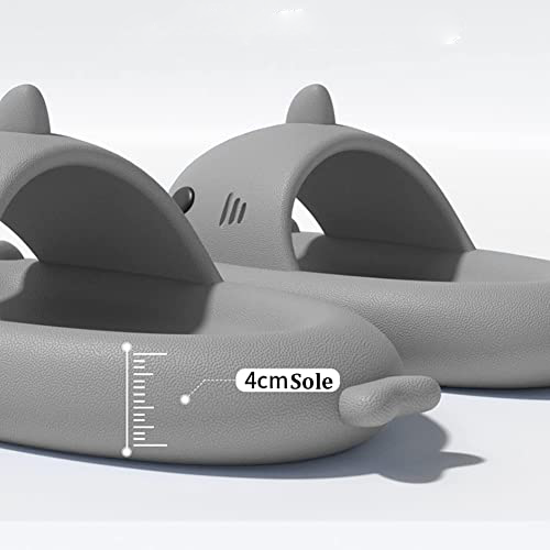 Comfortable Shark Footwear For Men And Women