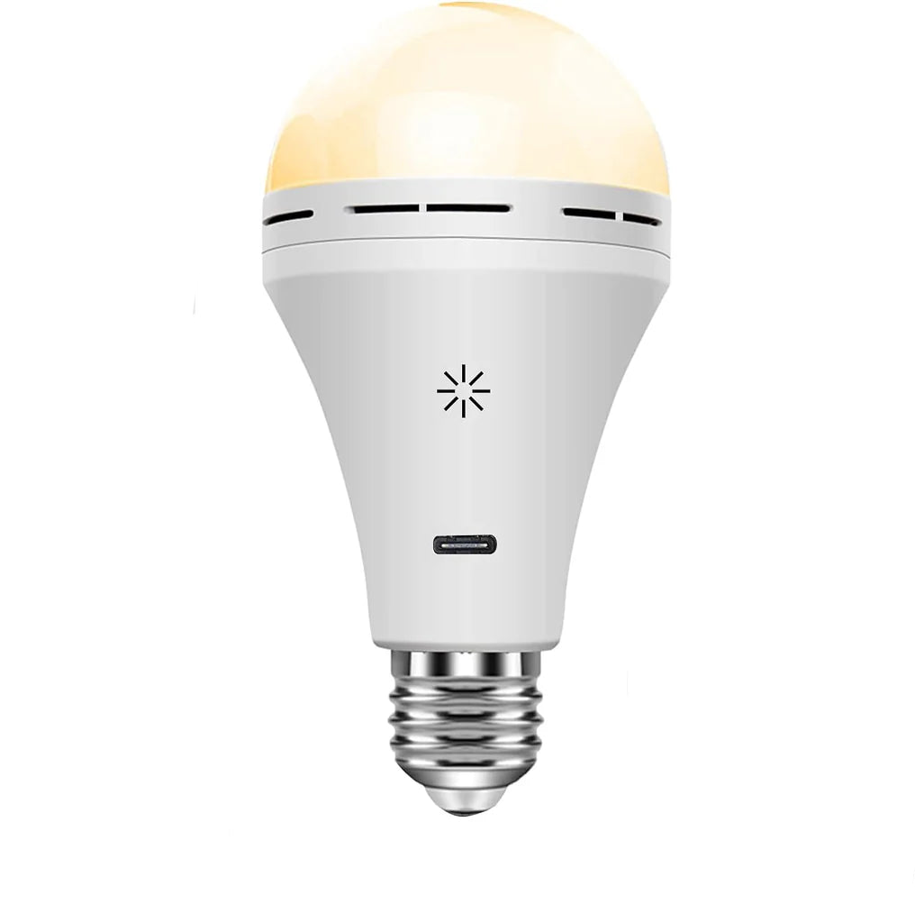 Portable Bright LED Desk Lamp - Halri