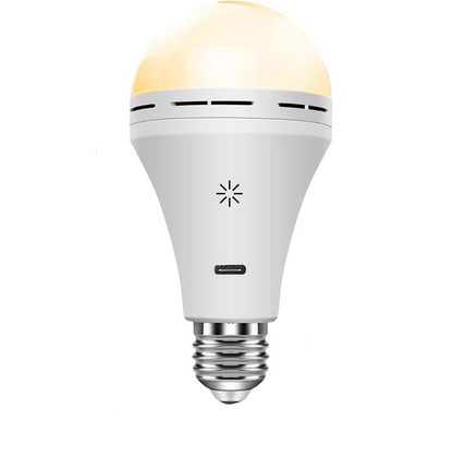 Portable Bright LED Desk Lamp - Halri