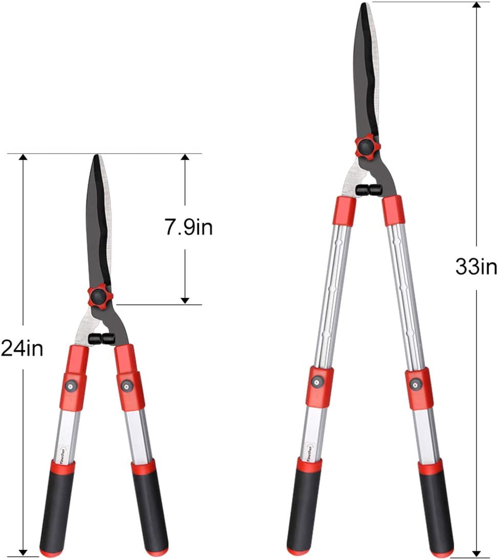 Strong Extension Tree Pruner Cutting Tool