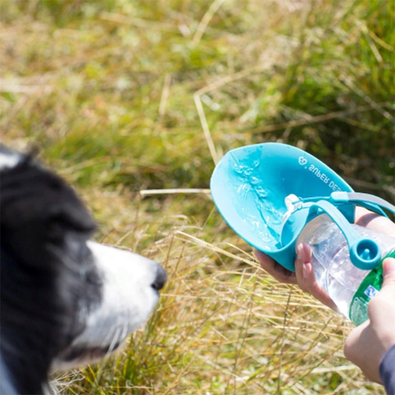 Compact Dog Travel Water Bottle