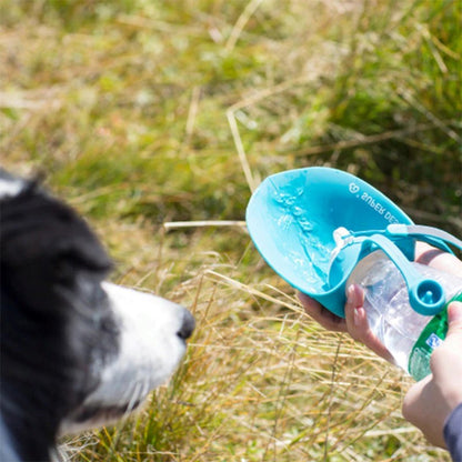 Compact Dog Travel Water Bottle